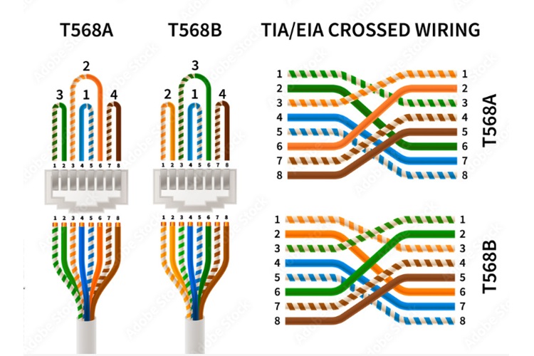 رنگ بندی سوکت شبکه